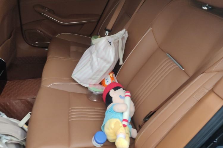 Used Hongqi H9 2020 2.0T Smart Connect Flagship Edition