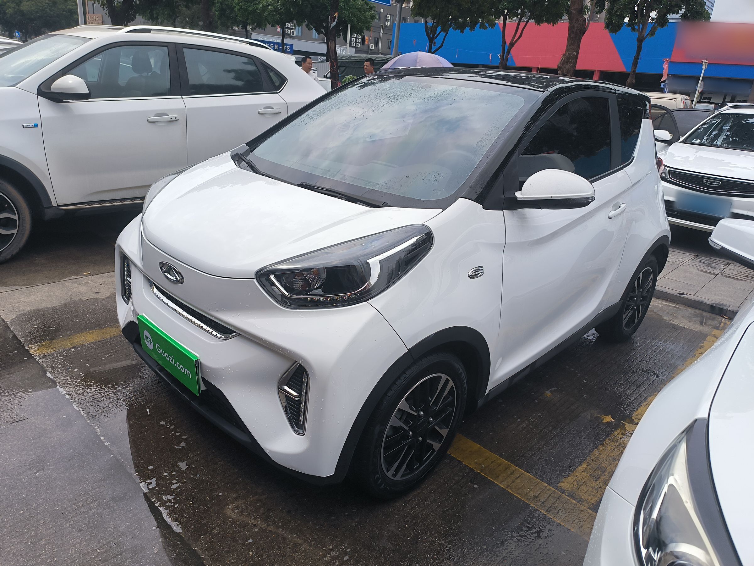 Parte inferior delantera