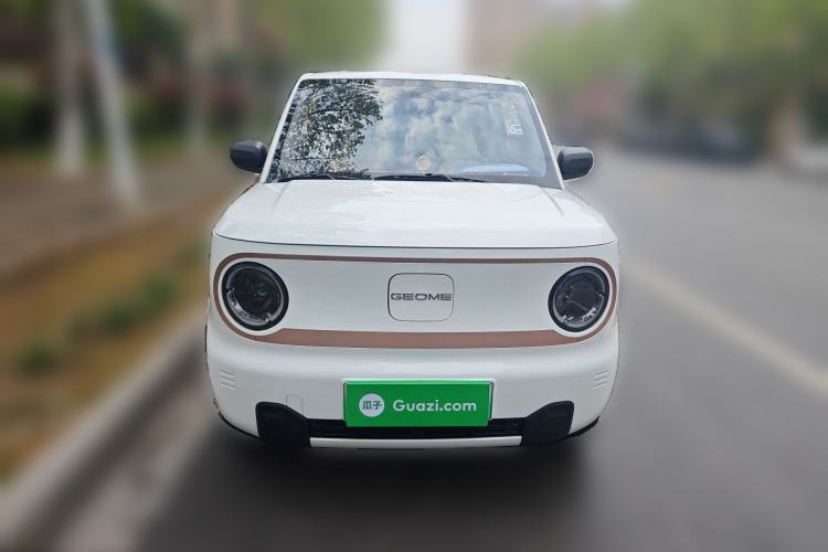 Used Geely Galaxy Panda 2024 Facelifted Panda Mini 200km Dragon Edition
