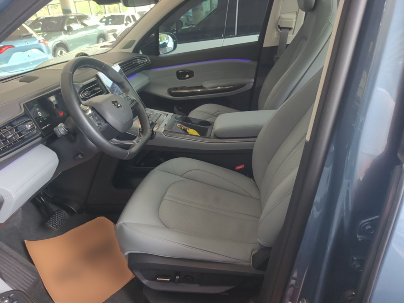 Interior delantero