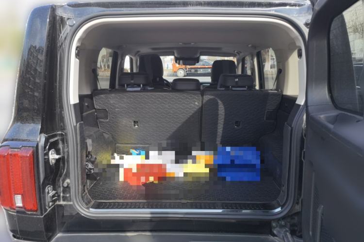 Used Tank 300 2024 2.0T Crosser
