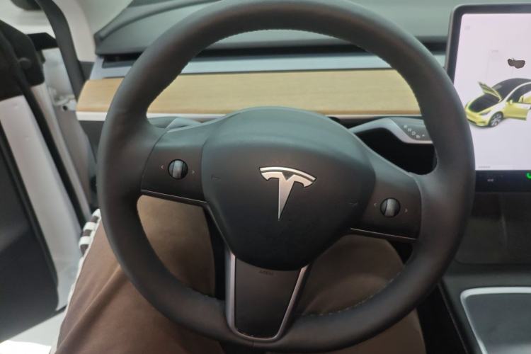 Used Tesla Model Y 2021 Long-Range All-Wheel-Drive Version
