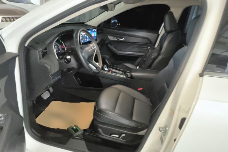 Used Haval LHERY 2022 Jingxiang Edition 1.5T Copper Rabbit Left Front Seat