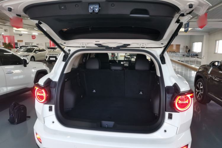 Used Haval H Dog 2023 2.0T Two-Wheel Drive Chaoye Version Plus