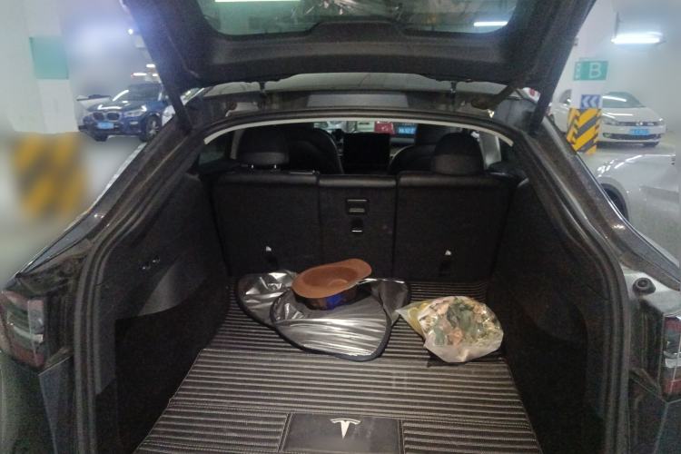 Used Tesla Model Y 2021 Long-Range All-Wheel-Drive Version
