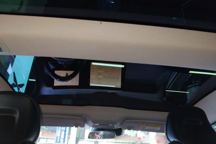 Used XPeng P7 2020 670N Headliner