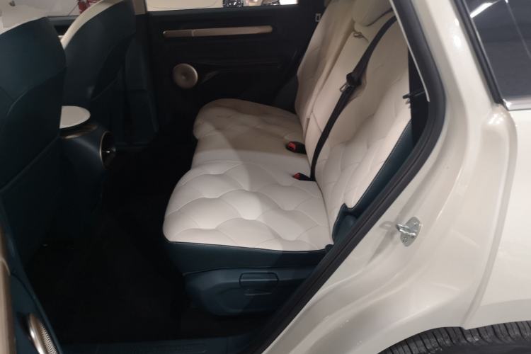 Used Baojun Cloud 2023 460 Max Lingxi Version Left Rear Seat