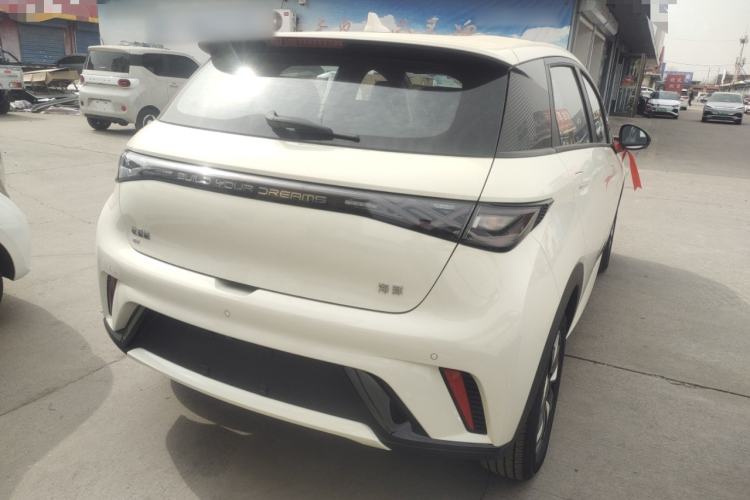 Used BYD Dolphin 2025 420km Free Edition