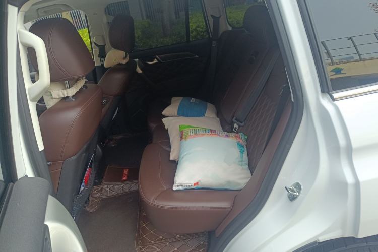 Used Haval H9 2020 2.0T Gasoline 4WD Premium Edition 5 Seats Left Rear Seat