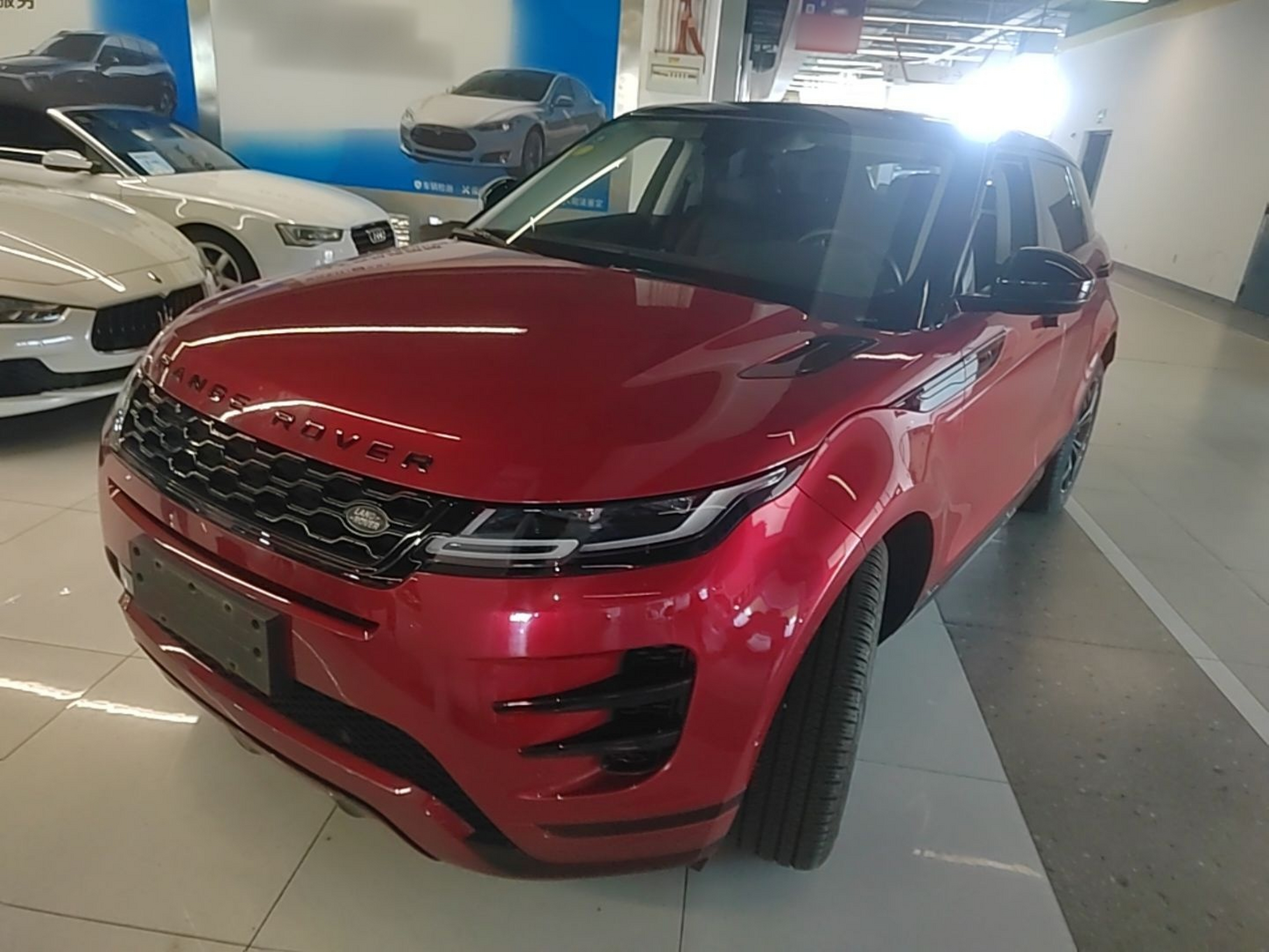 Under Front Bumper