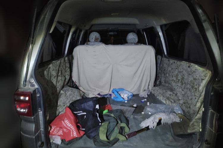 Used FORTHING Lingzhi 
