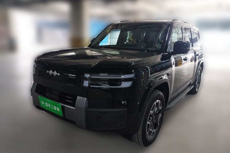 Used Formula Leopard Tai 7 2025 Model 190 km Four-Wheel Drive Max Edition