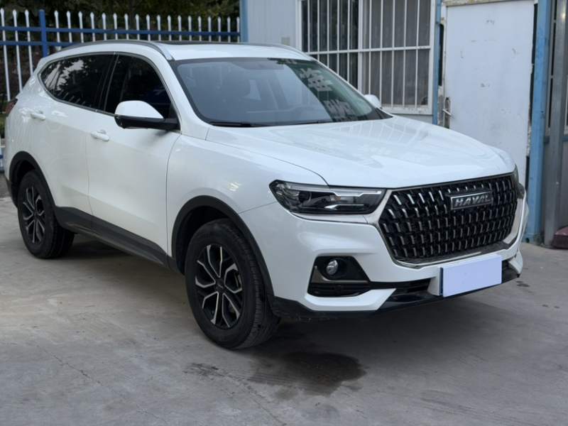 Used Haval H6 2023 National Trend Edition 1.5T Automatic Urban Version — 31