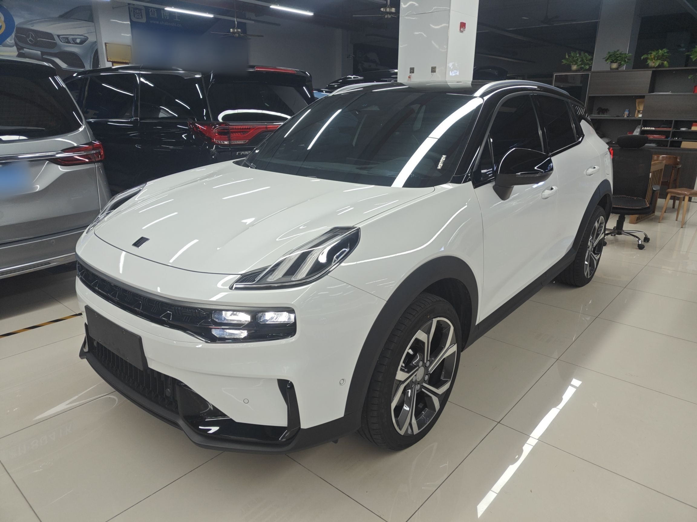 Parte inferior delantera