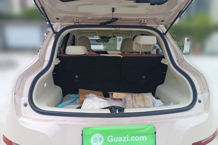 Used ORA Good Cat 2023 401 km Standard Range Luxury Version Lithium Iron Phosphate
