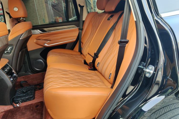 Used Tank 500 2022 3.0T Business Edition "Creation Realm" Design 5-Seater Left Rear Seat