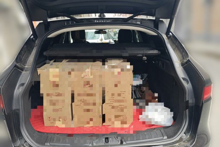 Used Jaguar F-PACE 2018 2.0T Four-Wheel Drive Urban Luxury Edition Trunk