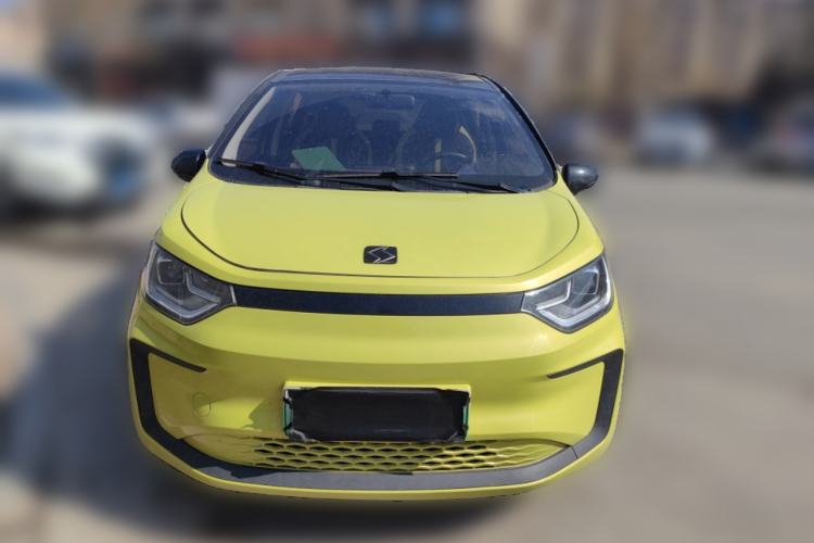 Used SOL E10X 2022 Flower Fairy Design Four-Leaf Clover Front