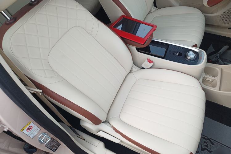 Used ORA Good Cat 2022 Morandi Edition 400km Standard Range Luxury Version Lithium-Ion Battery
