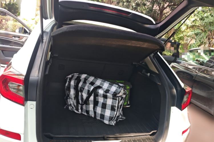 Used Honda Avancier 2017 370TURBO 2WD Luxury Edition
