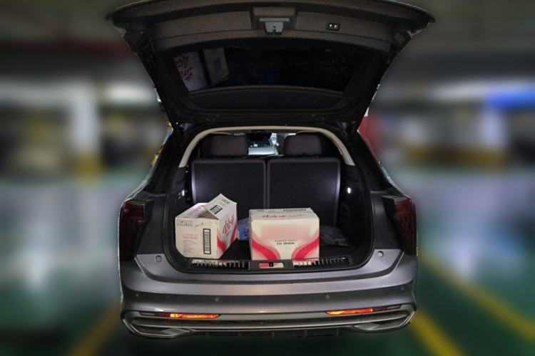 Used Hongqi E-HS9 2021 510 km Range Flagway Edition Six Seats
