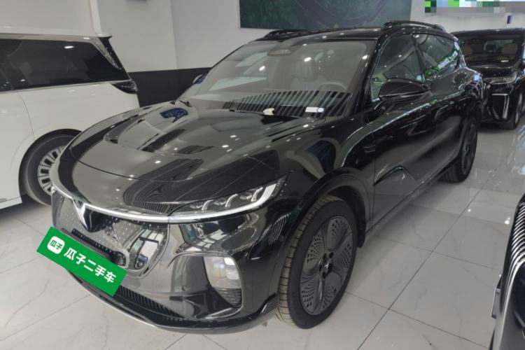 Used VOYAH COURAGE 2024 Four-Wheel Drive Global Edition