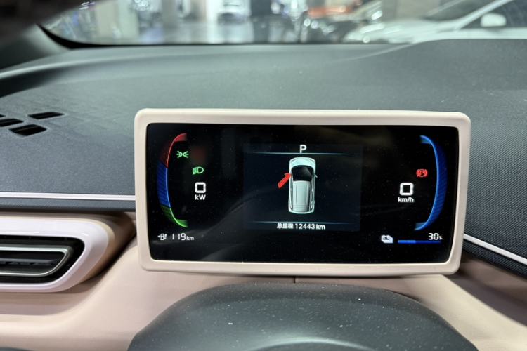 Used BYD Seagull 2025 405 km Flying Edition