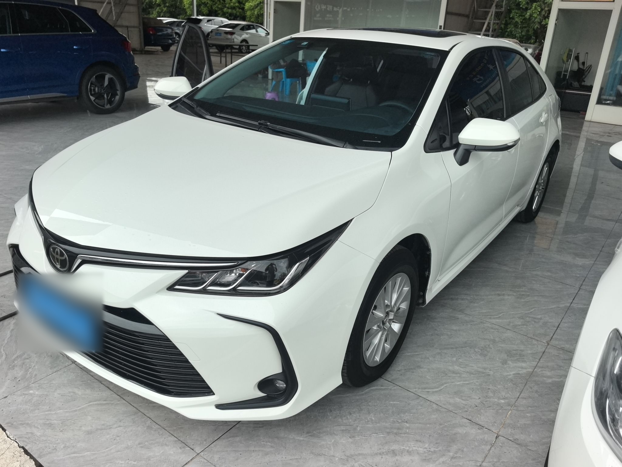 Parte inferior delantera