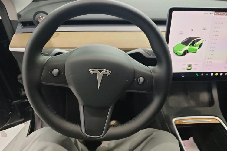 Used Tesla Model Y 2021 Standard Range Rear-Wheel Drive Version
