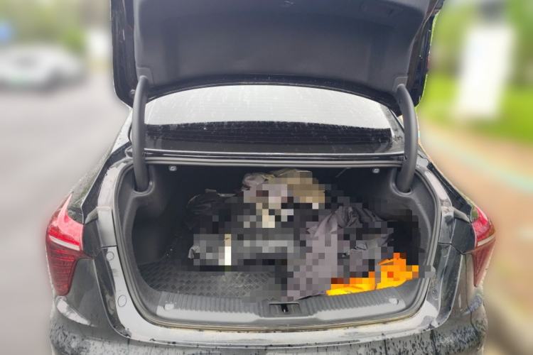 Used Hongqi H5 2025 2.0T Automatic Flag Edition – 500 000 Units Commemorative Version Trunk