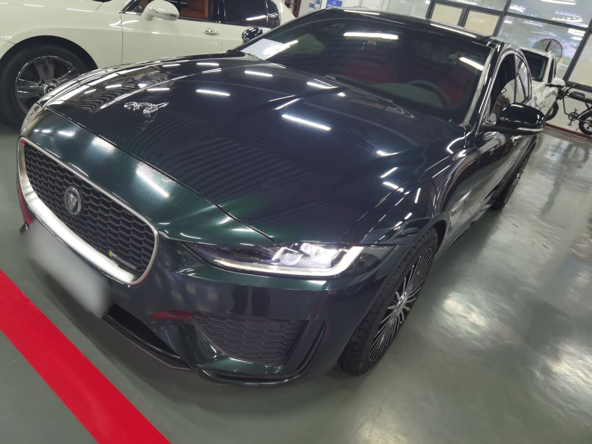 تحت مقدمة السيارة