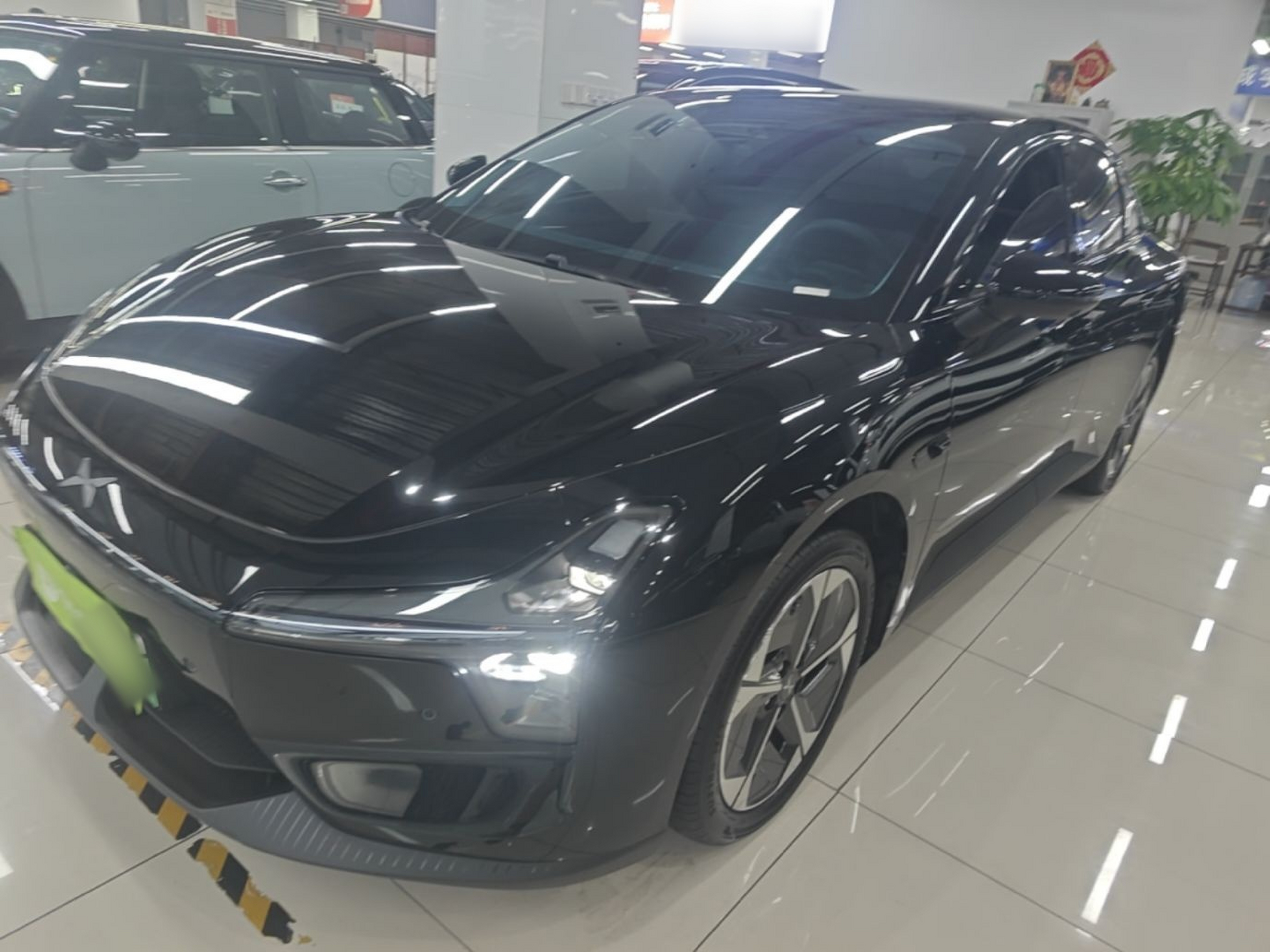 Parte inferior delantera