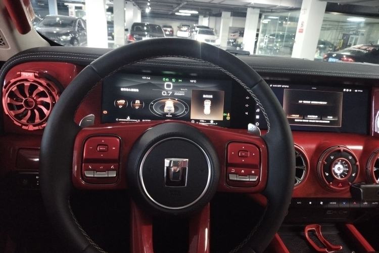 Used Tank 300 2024 2.0T Conqueror