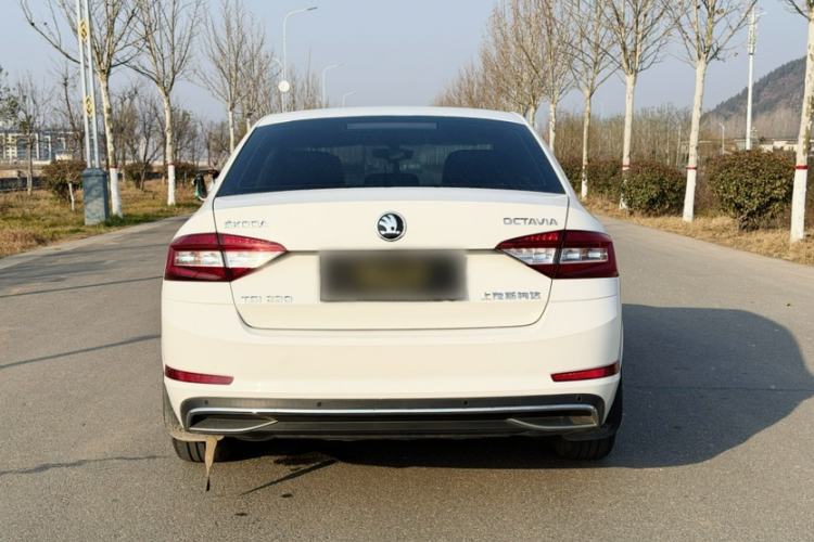 Used Skoda Octavia 2019 TSI230 DSG SmartDrive Luxury Edition China V Standard