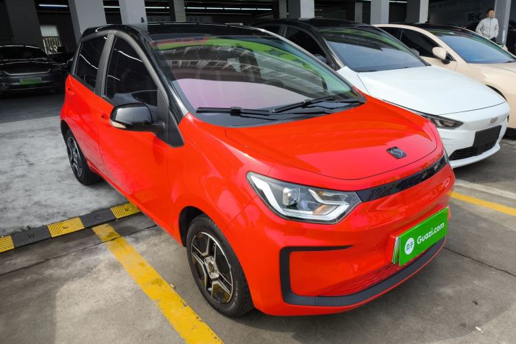 Used SOL E10X 2022 Flower Fairy Design Four-Leaf Clover