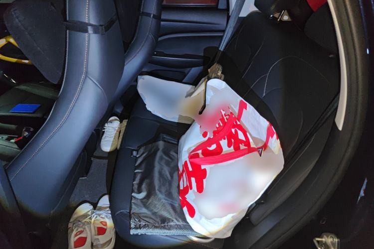 Used Leapmotor T03 2021 400 Luxury Edition Left Rear Seat