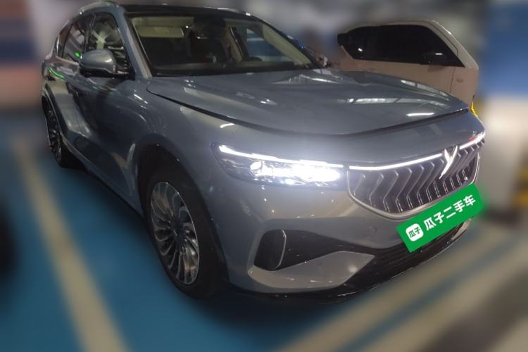 Used VOYAH FREE 2021 Two-Wheel Drive Standard Pure Electric City Edition