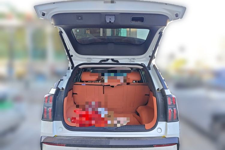 Used AION V 2024 Aion Tyrannosaurus 650 LiDAR Edition
