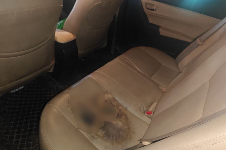 Used Toyota Levin 2017 1.2T E CVT New Sharp Edition
