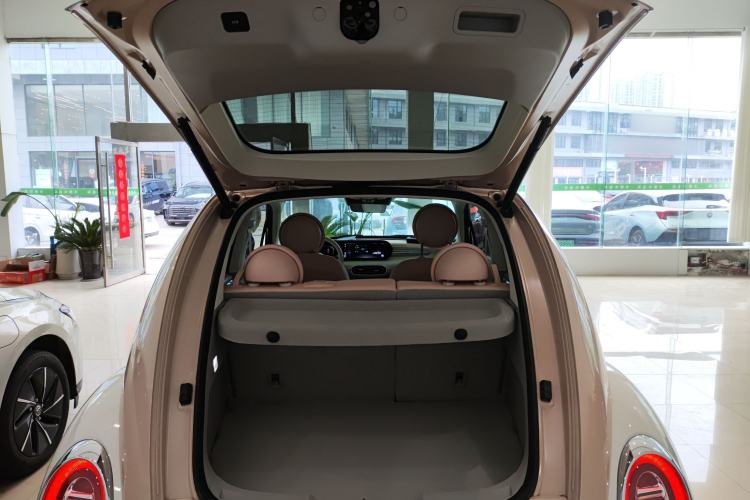 Used ORA Ballet Cat 2022 401 km Nutcracker Edition