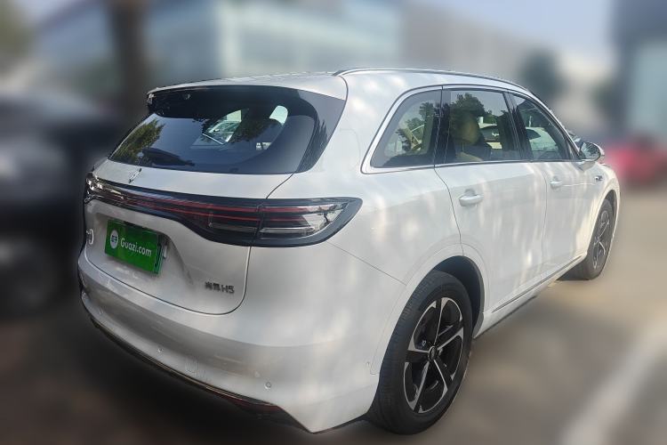 Used Hima H5 2025 Model Pure Electric Max
