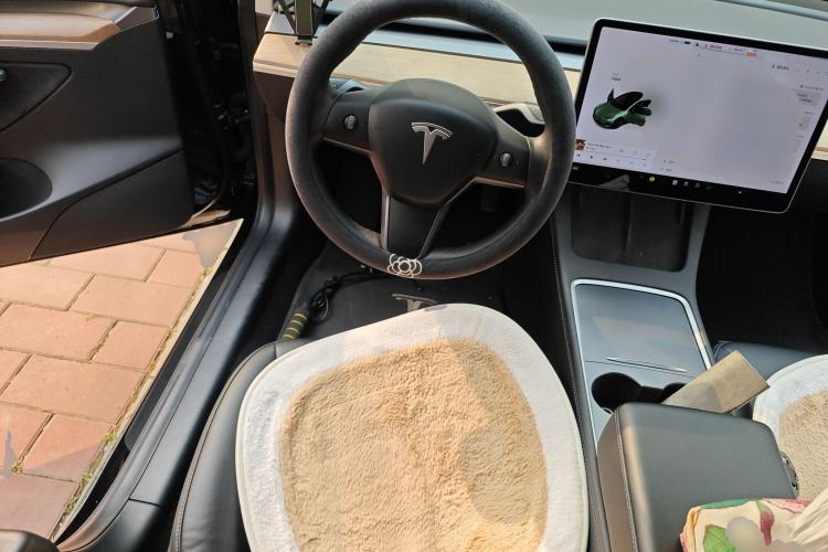 Used Tesla Model 3 2021 Standard Range Rear-Wheel Drive Upgraded Version 3D6
