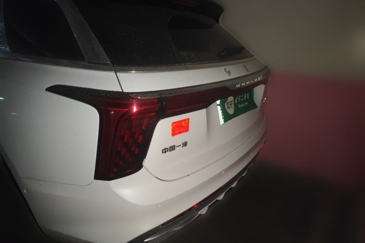 Used Hongqi E-HS9 2021 510 km Range Flagway Edition Six Seats Rear