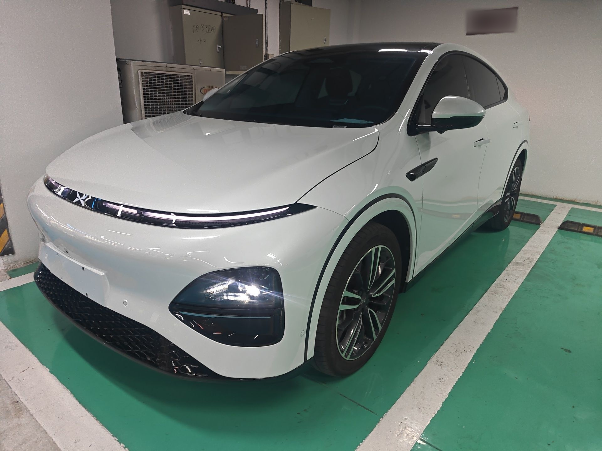 Parte inferior delantera