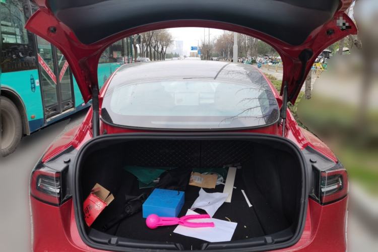 Used Tesla Model 3 2022 Performance High-Performance All-Wheel-Drive Version
