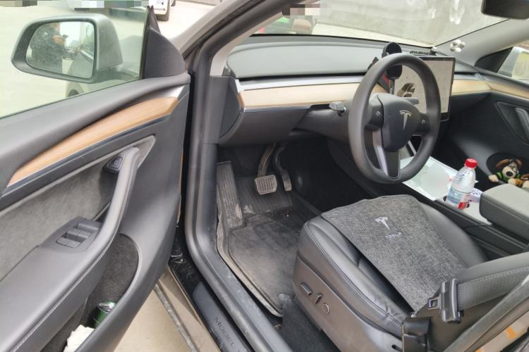 Used Tesla Model Y 2021 Standard Range Rear-Wheel Drive Version
