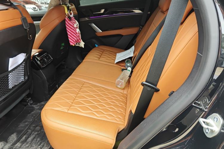 Used BYD Tang New Energy 2023 DM-i Champion Edition 112KM Prestige Model Left Rear Seat