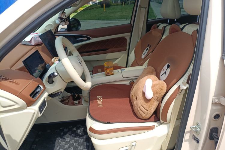 Used ORA Good Cat 2025 Model, 430 km Luxury Version Left Front Seat