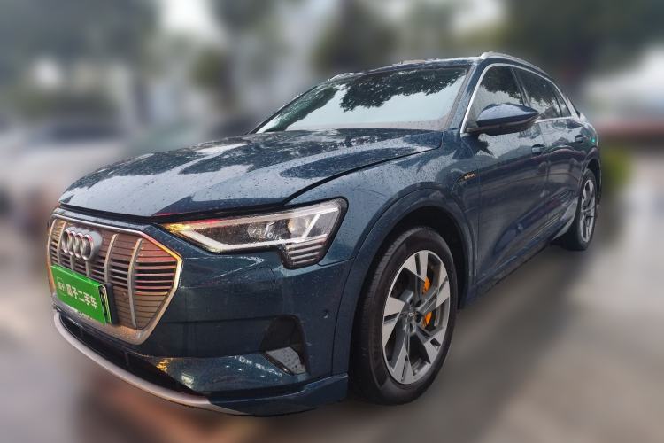Used Audi e-tron 2019 55 quattro Technology Edition