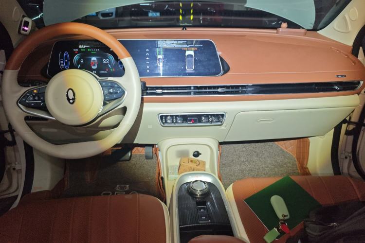 Used ORA Good Cat 2022 Morandi Edition 400km Standard Range Premium Version Lithium Iron Phosphate
